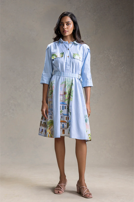 Reviera Printed Paneled Flared Dress