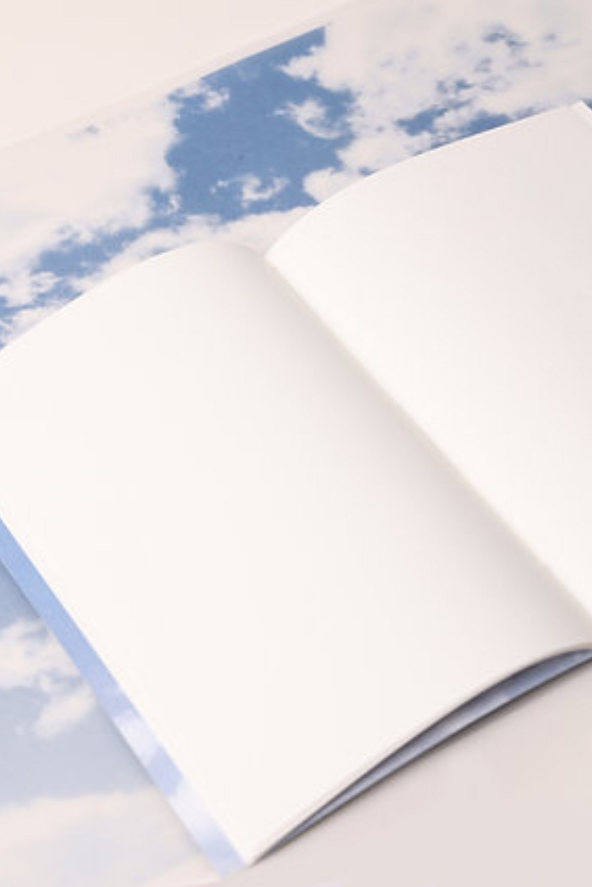 Unfiltered Notebook
