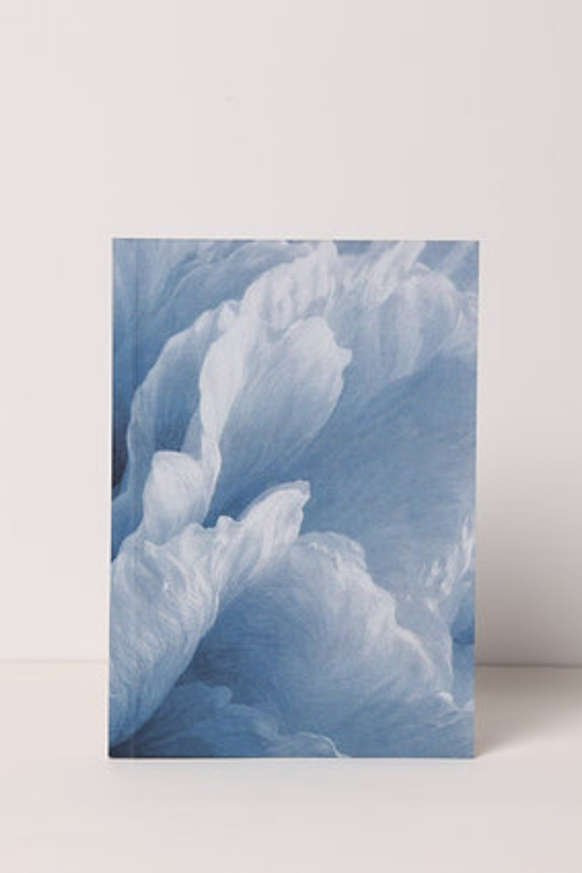 The Blues Notebook
