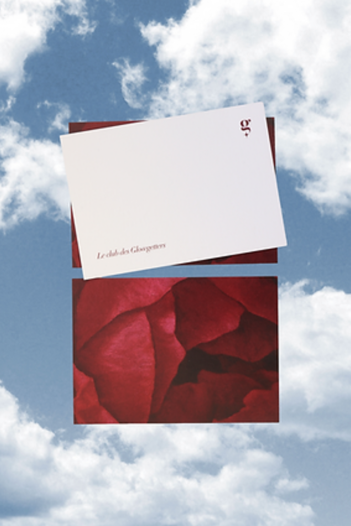 The Rose Postcard