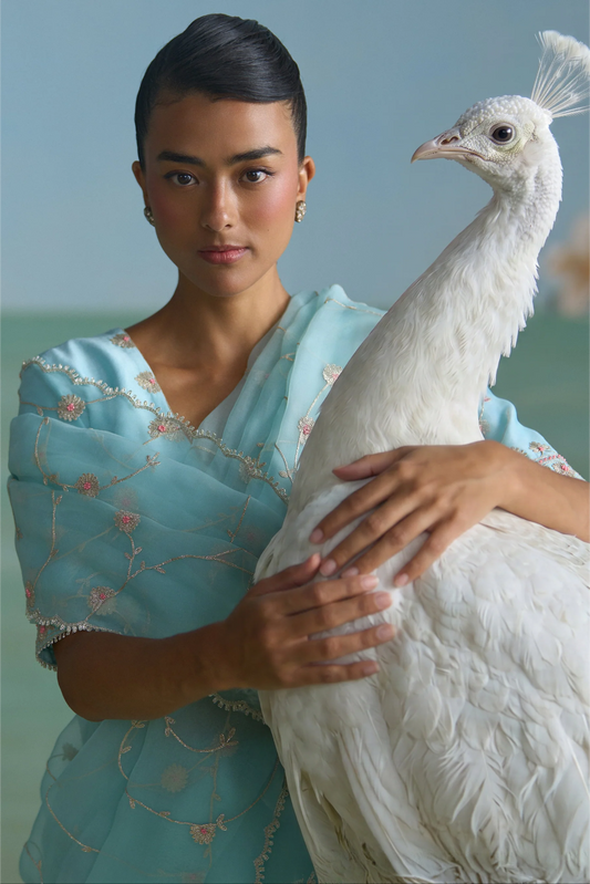 Turq Clara Saree