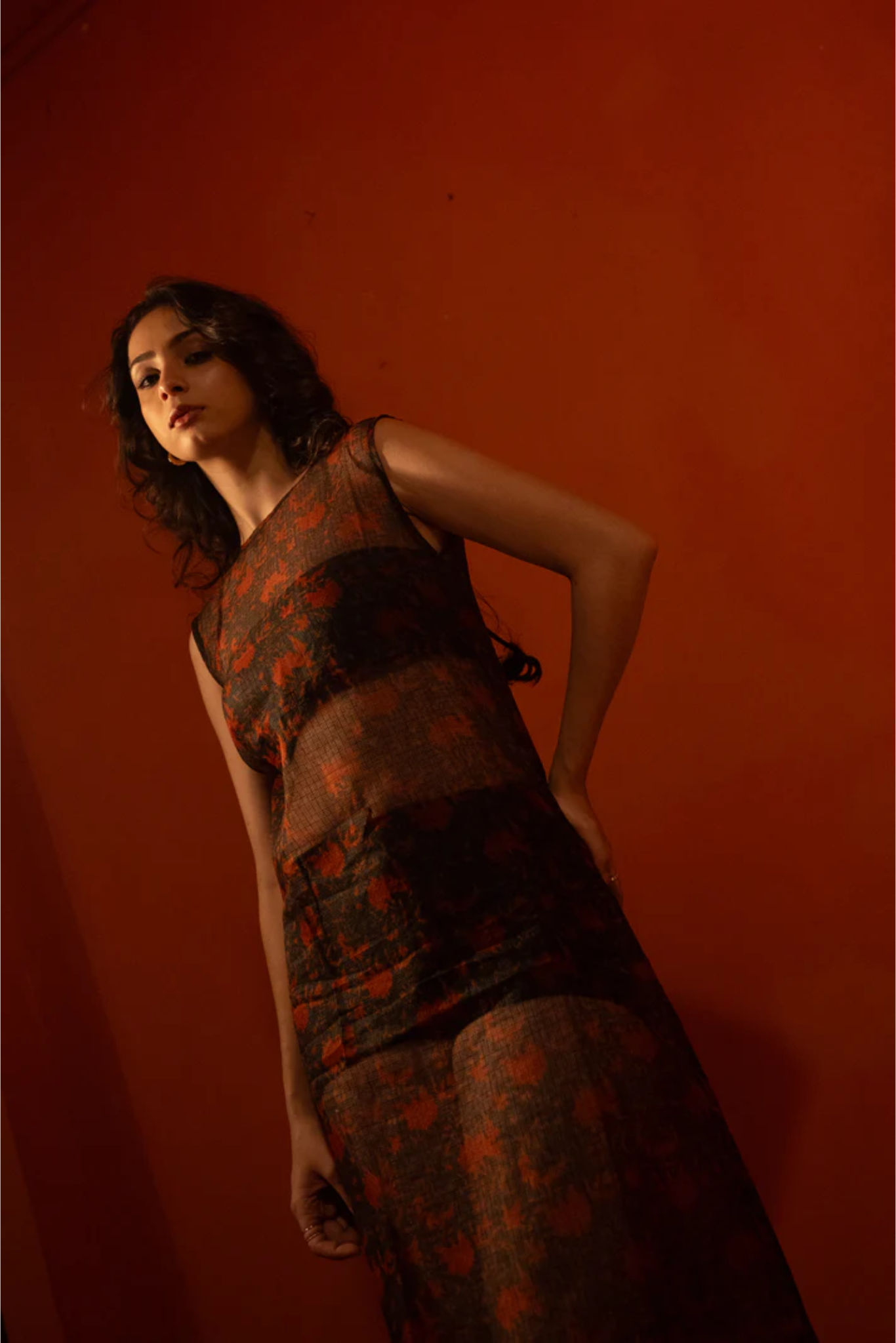 Kaav Sheer Dress