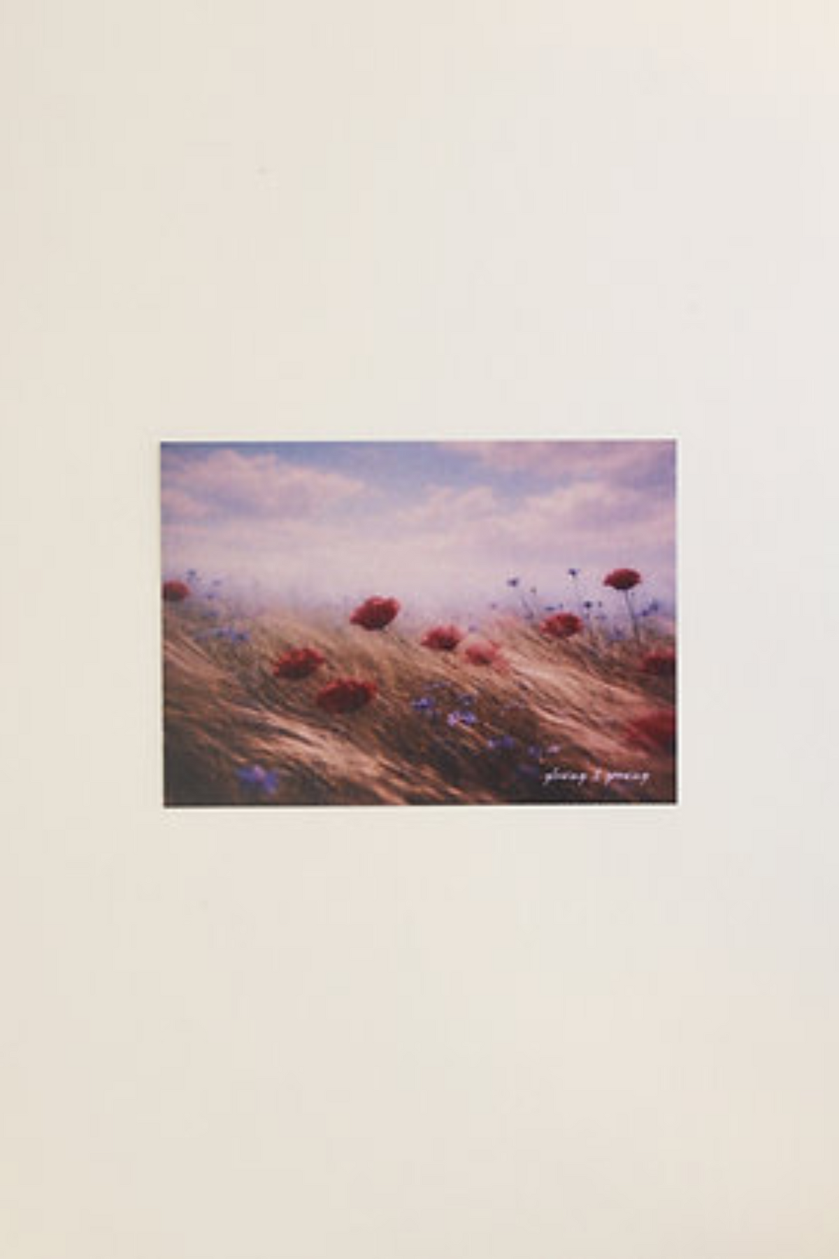 The Growing & Glowing Postcard