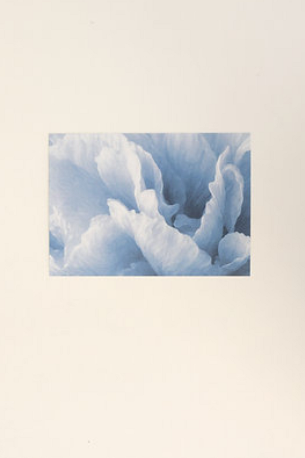The Blue Hour Postcard