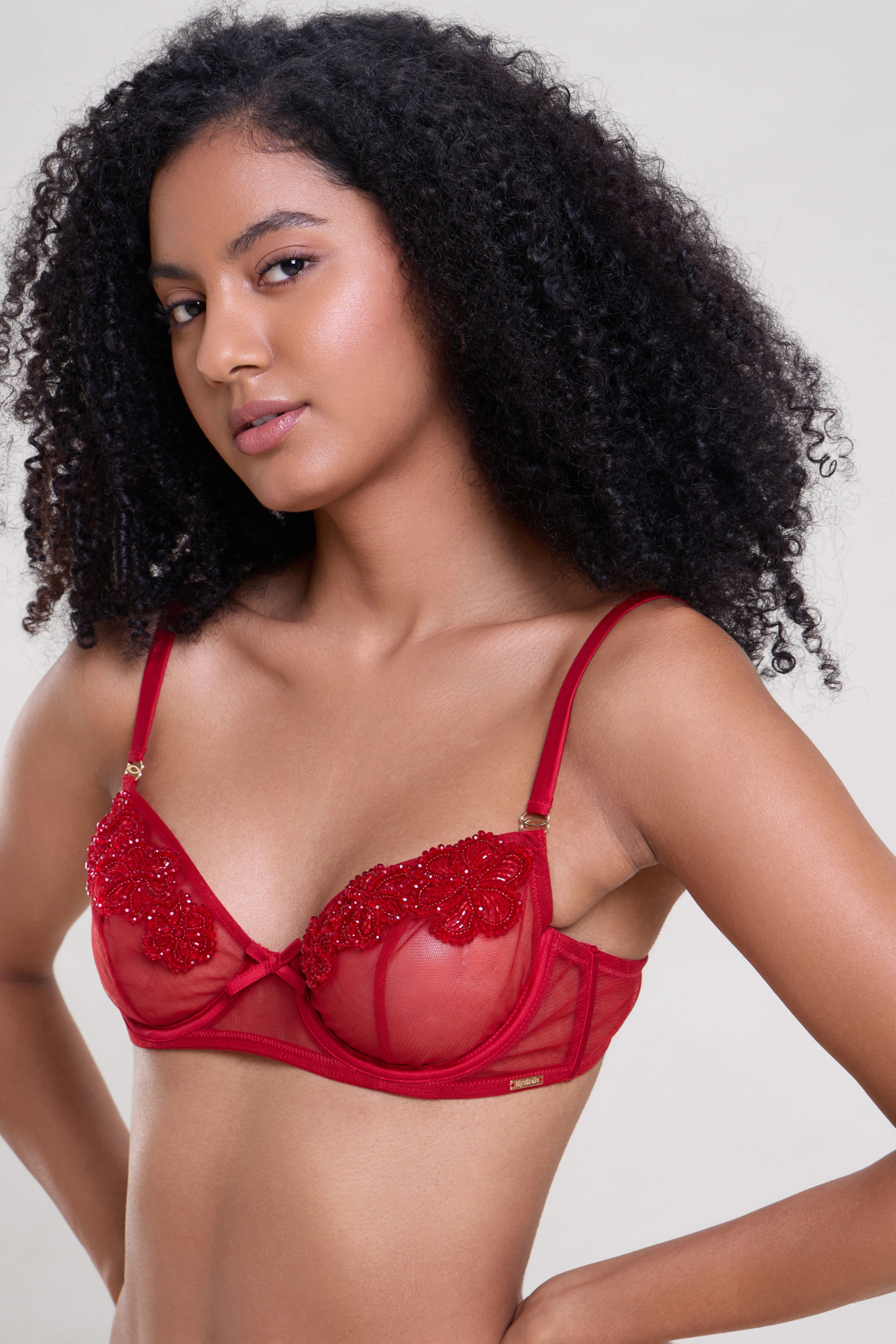 Poppy Red Hand Embellished Lingerie Set