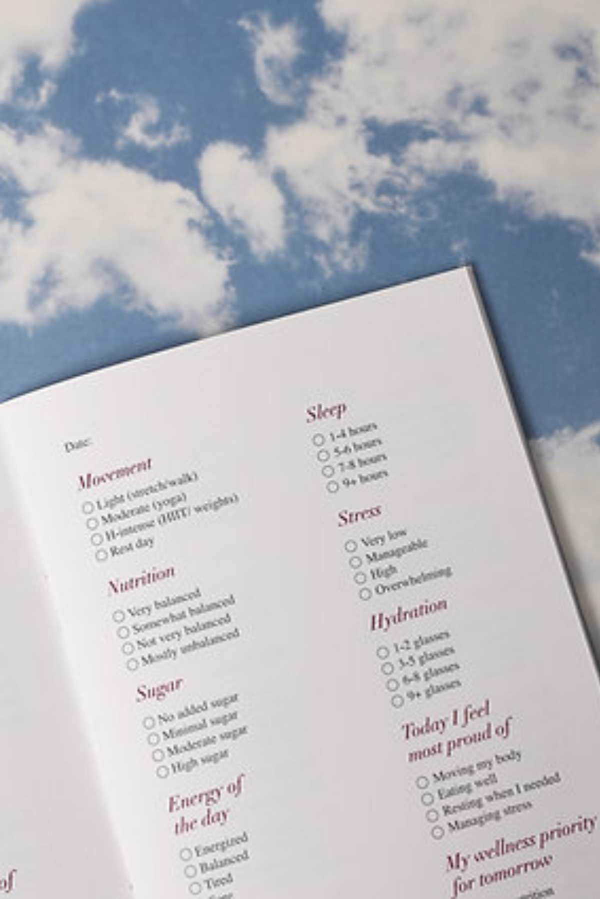 Wellness Journal