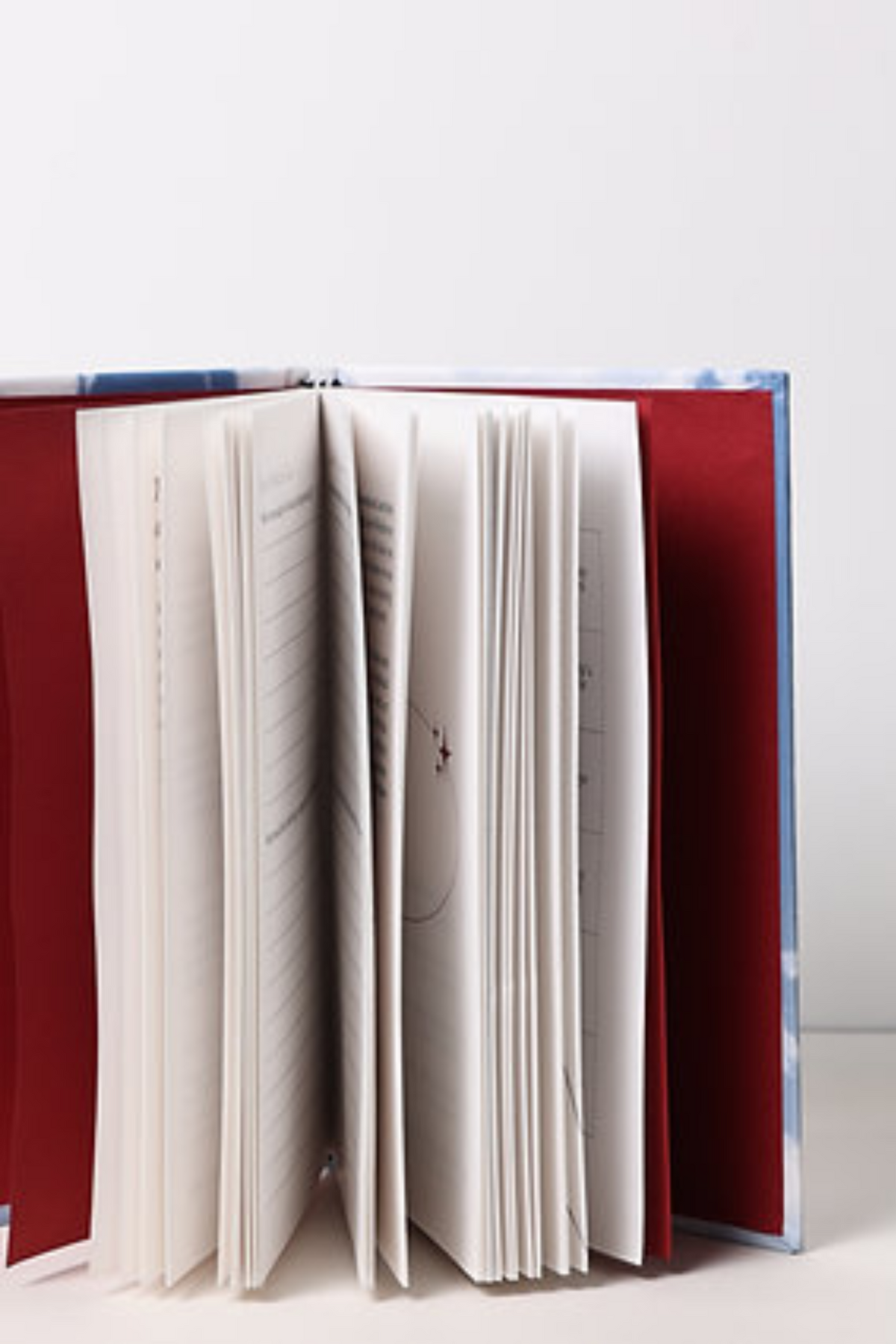 The Inner Child Journal