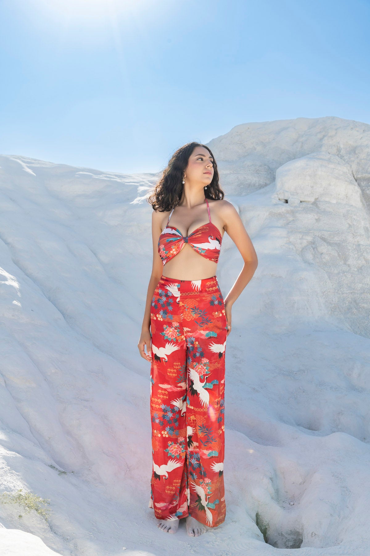 Twisted Bikini Set paired with Medusa Pants in Winter Solstice - WINTER SOLSTICE