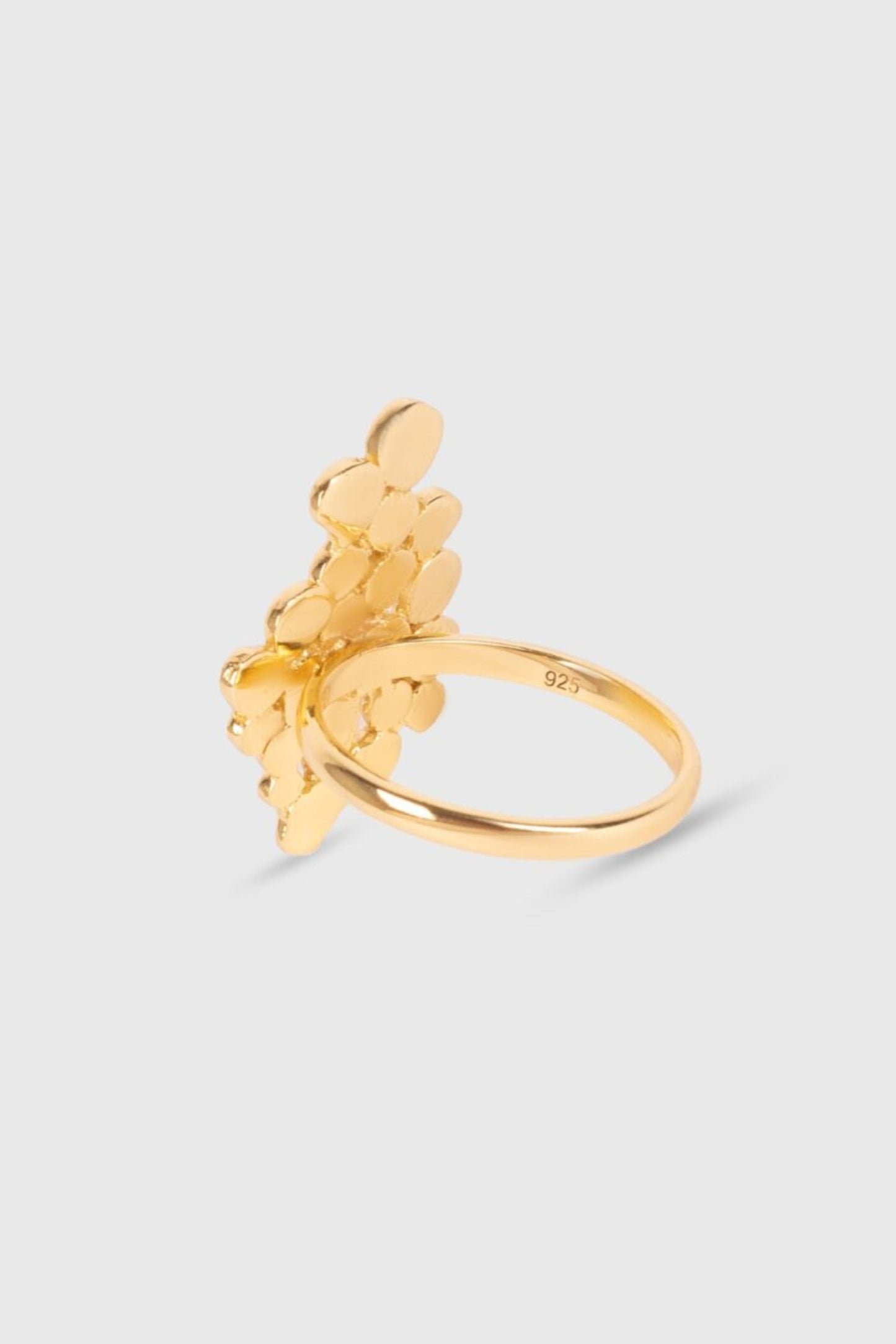 CLUSTER RING