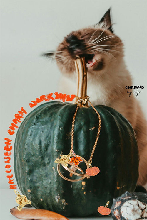 HALLOWEEN CHARM WORKSHOP - 26TH OCTOBER 2025