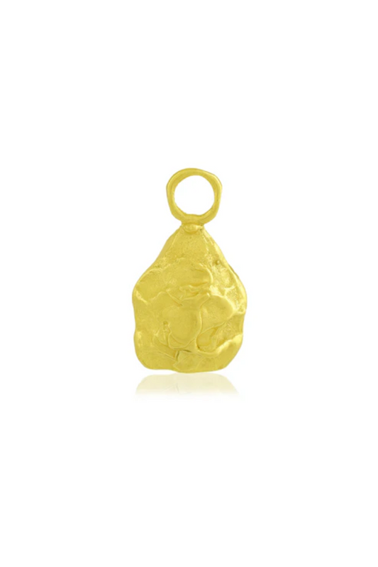 Nugget Charm