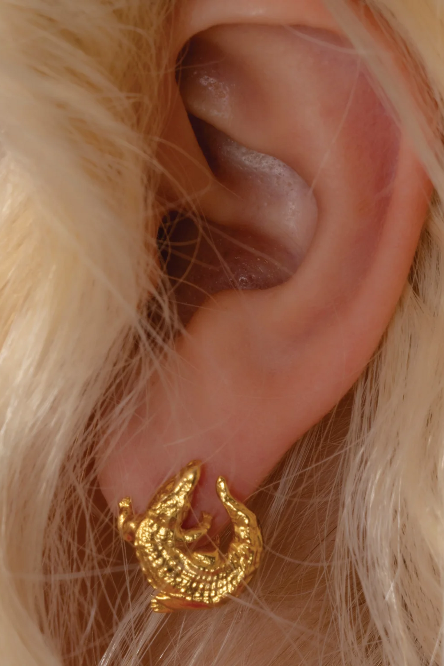 Croc Studs