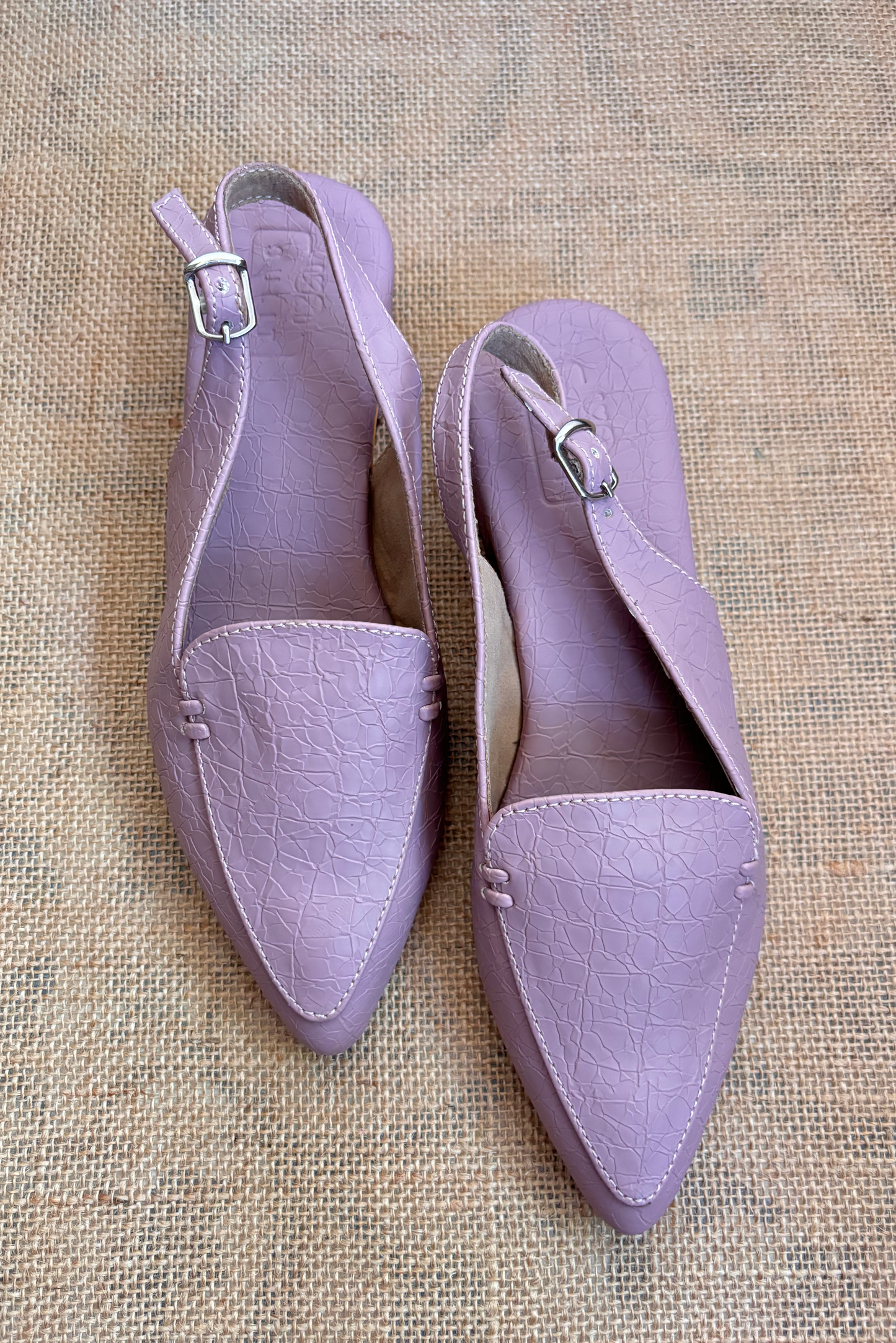 Lavender Croco