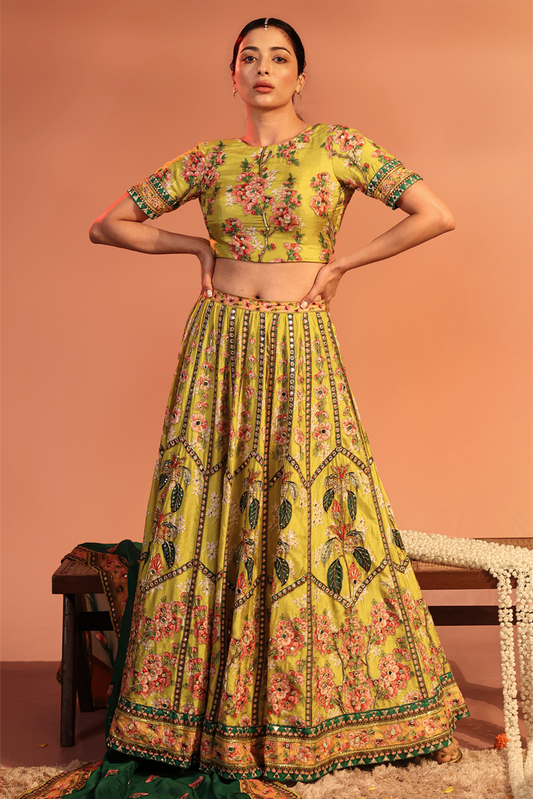 Tamaya Embroidered Lehenga set