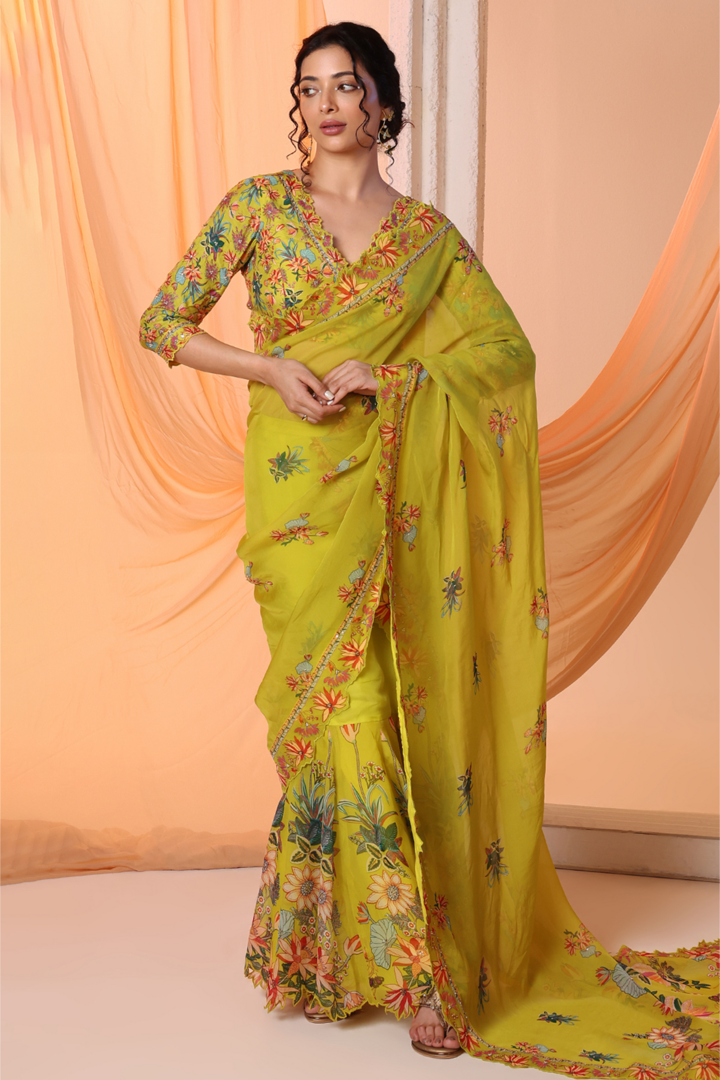 Aarani Embroidered Pre-stitch Saree set