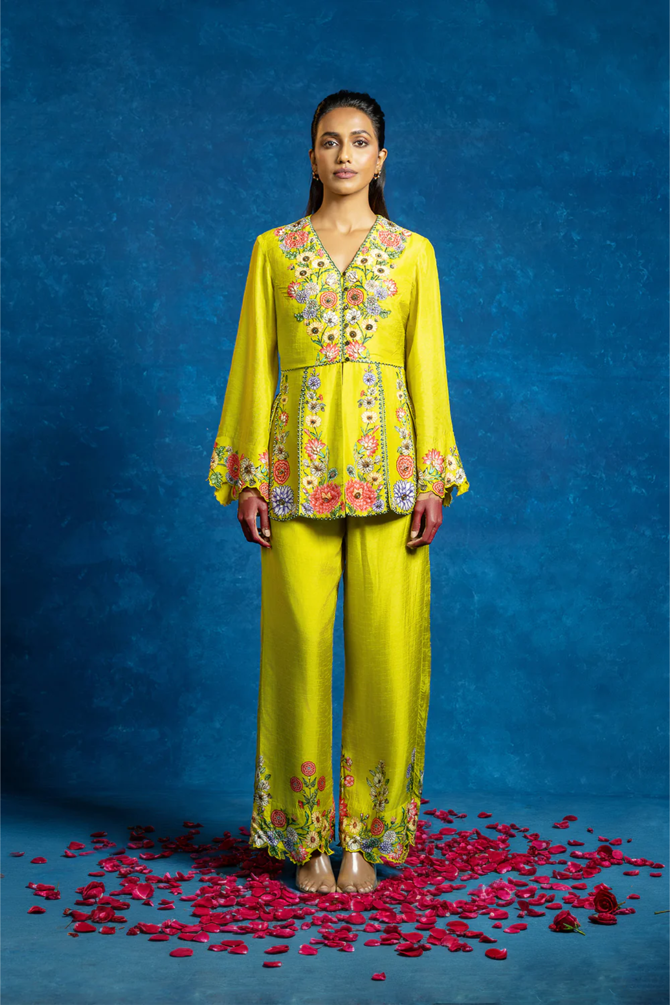 Baghira embellished panelled pant set