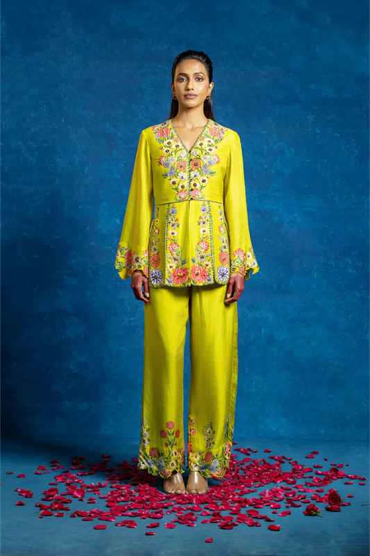 Baghira embellished panelled pant set