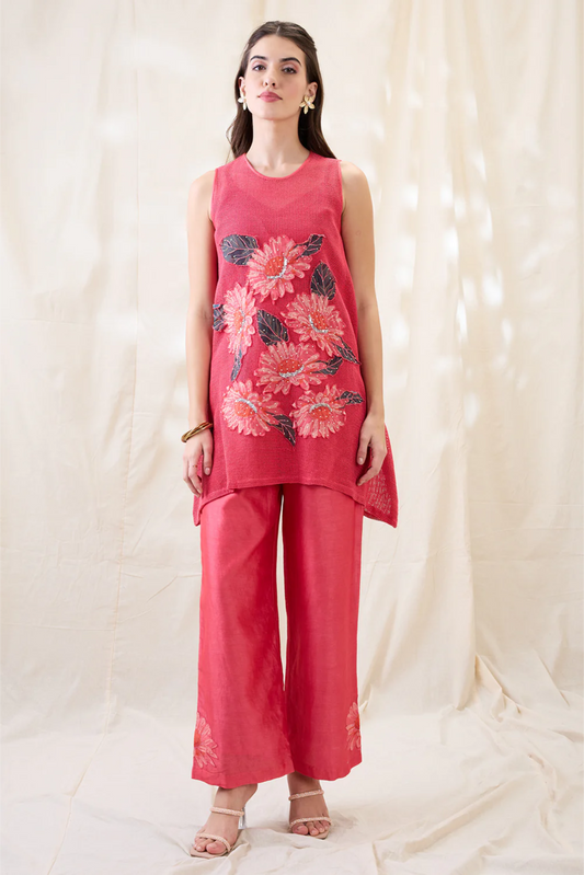 Ravya Appliqued Co-ord Set