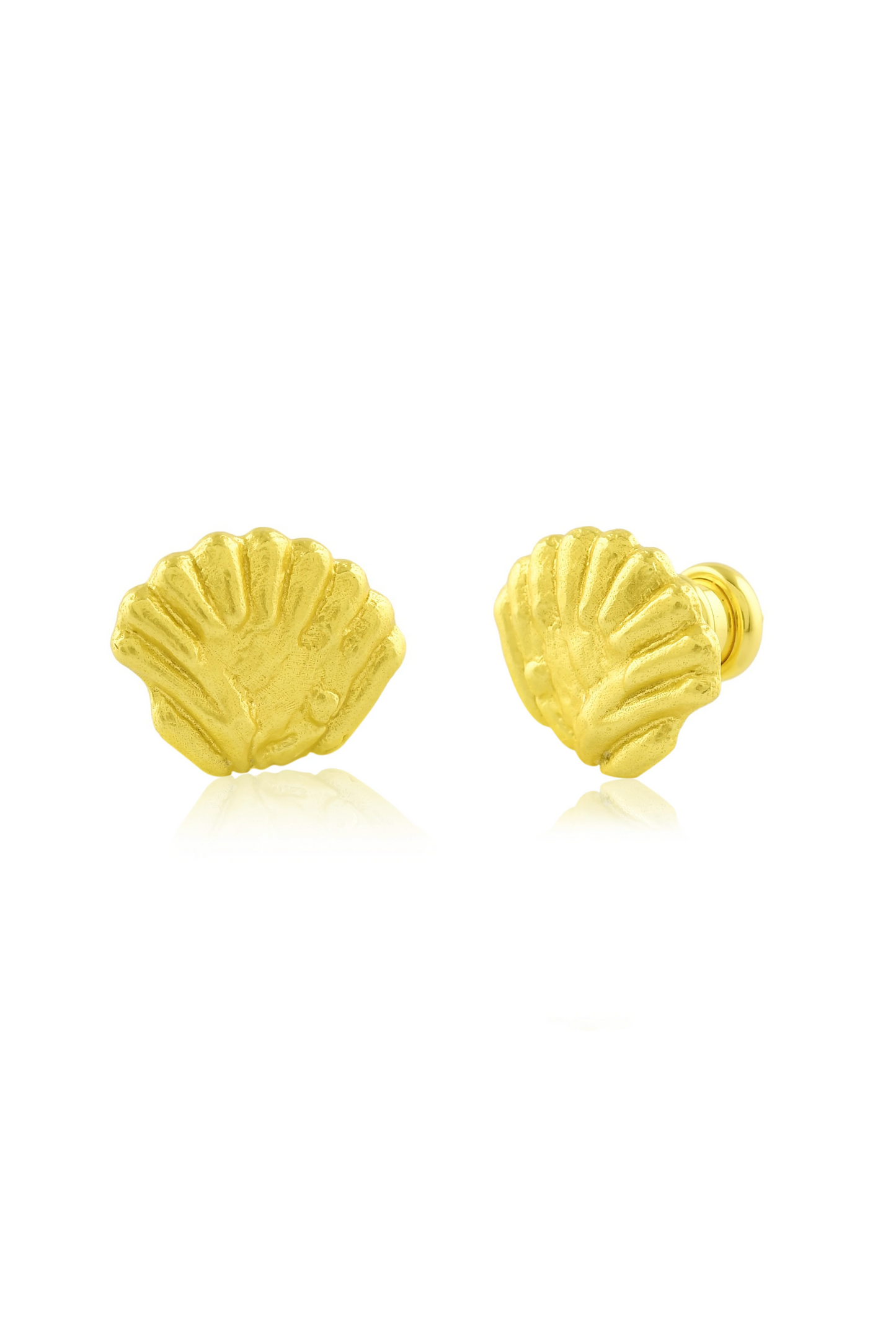 Sea Shell Studs
