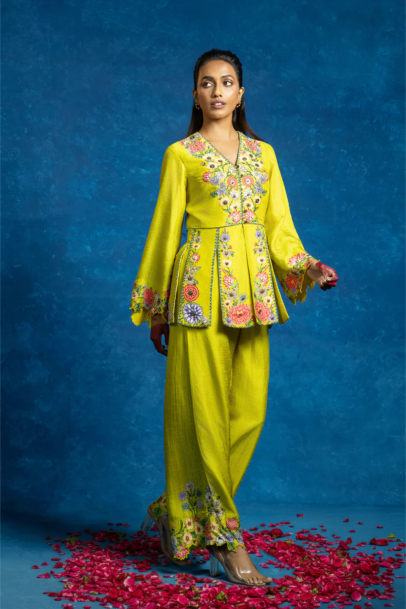 Baghira embellished panelled pant set