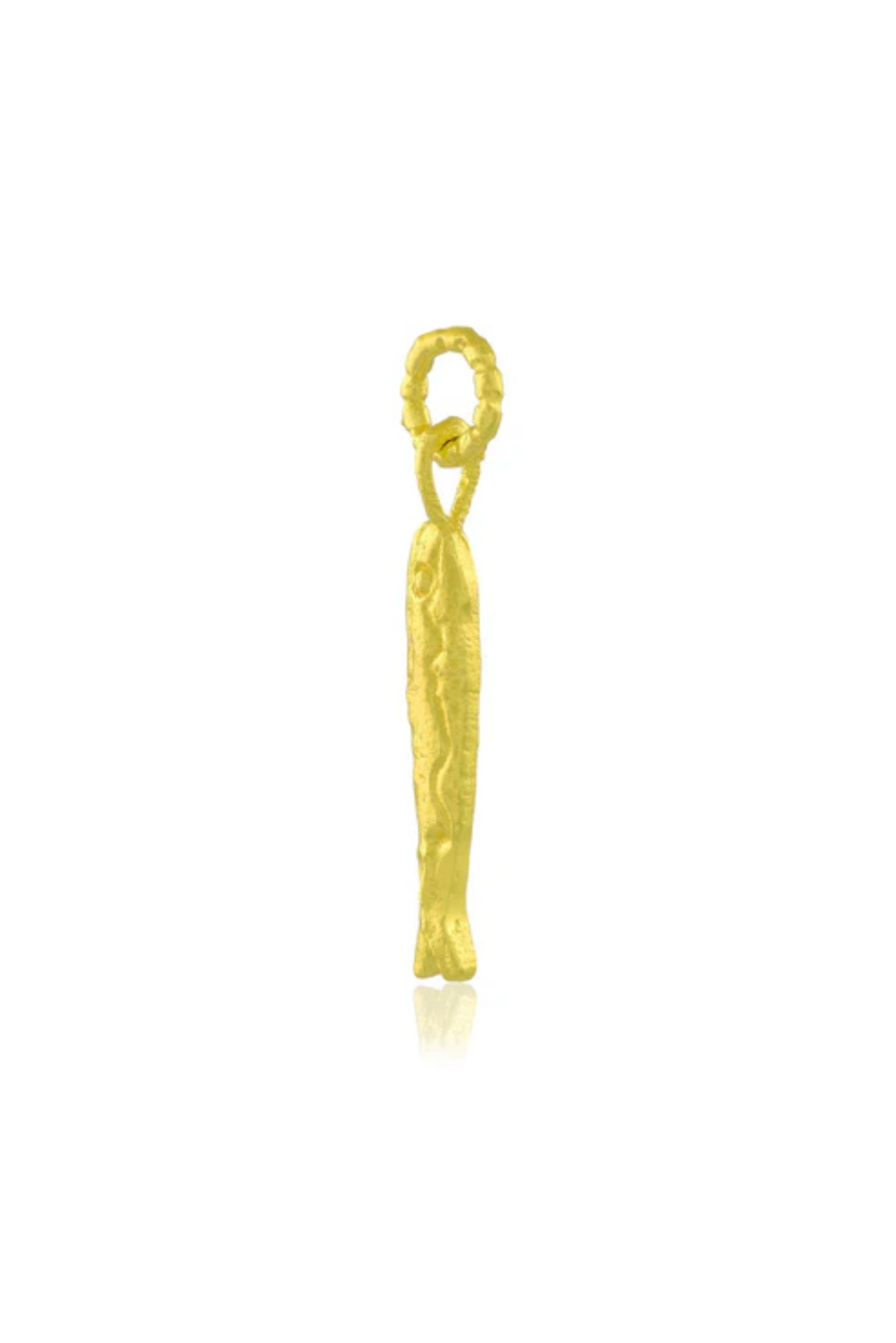 Pratapgari Textured Fish Charm