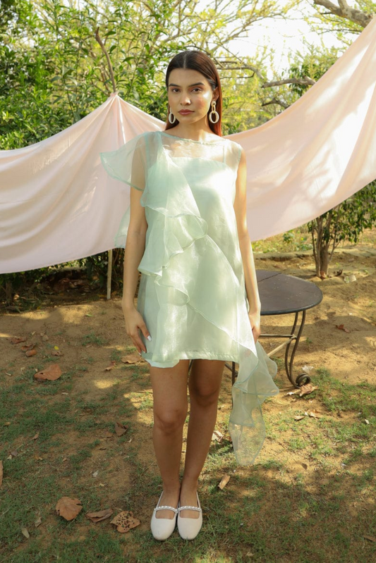 Pistachio Organza Shift Dress