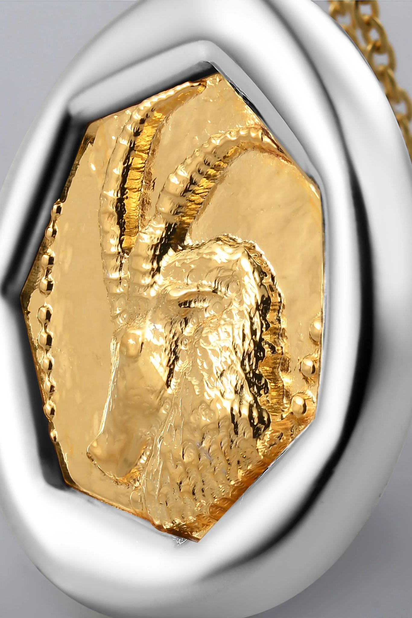 Metallic Zodiac Capricorn