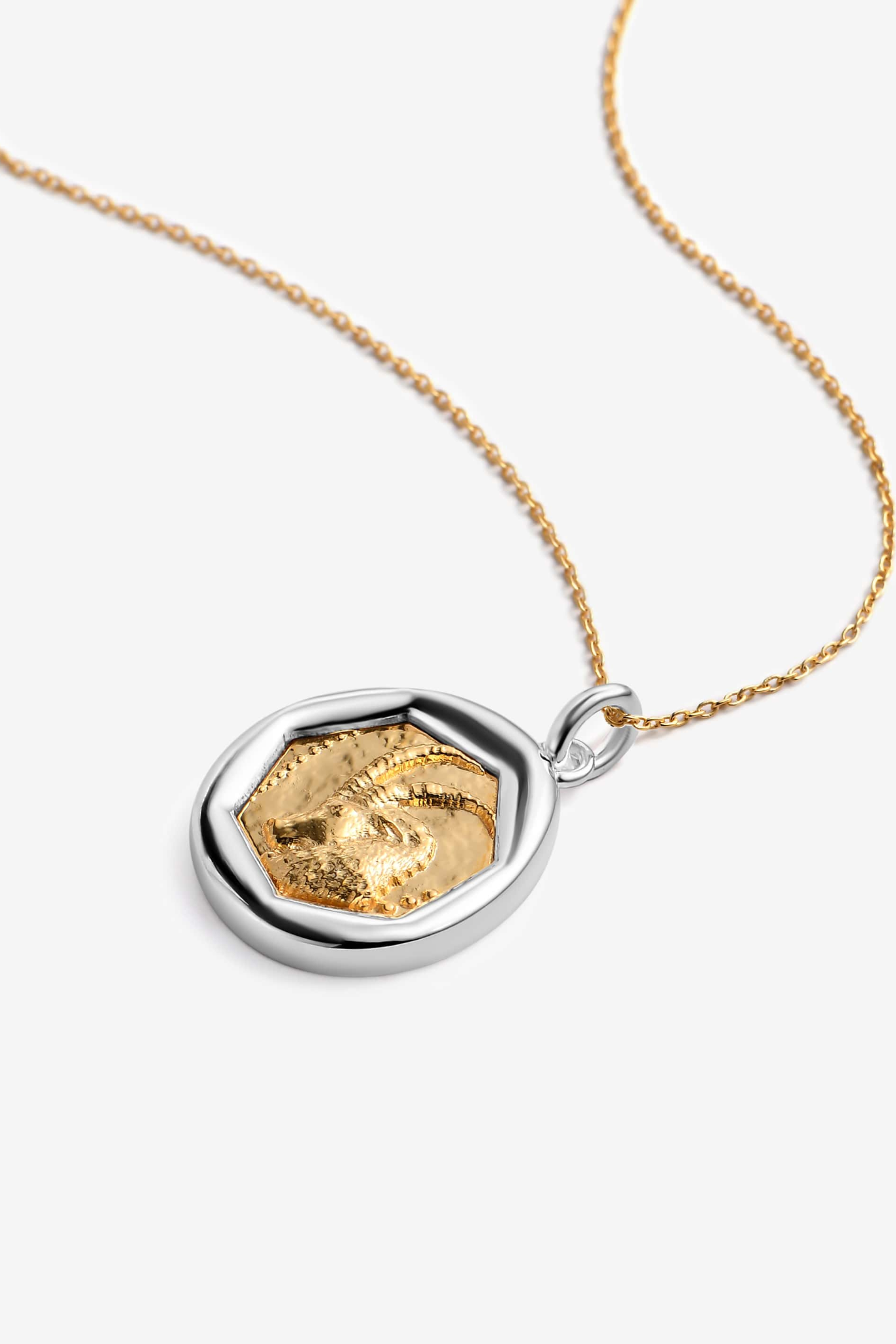 Metallic Zodiac Capricorn