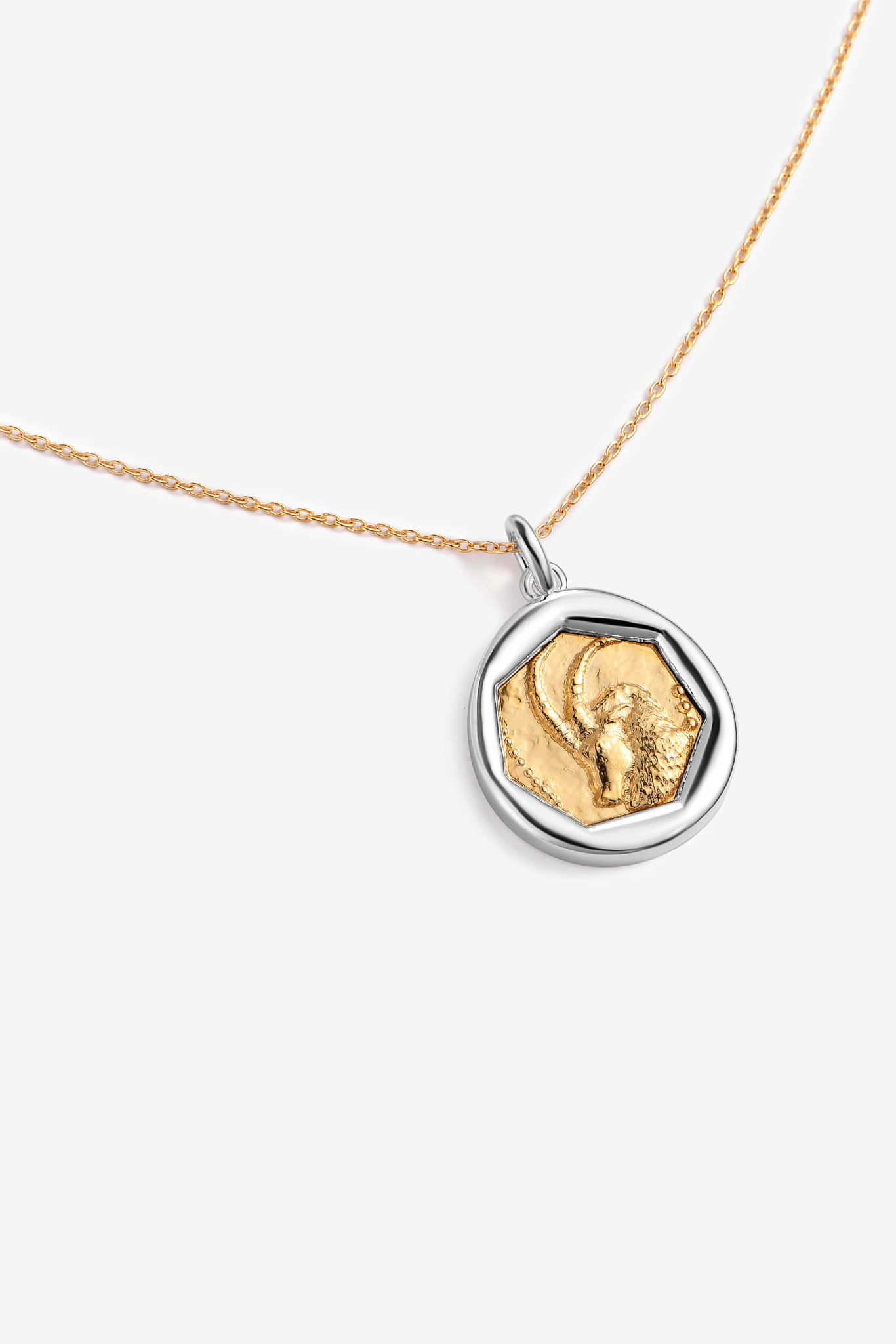 Metallic Zodiac Capricorn