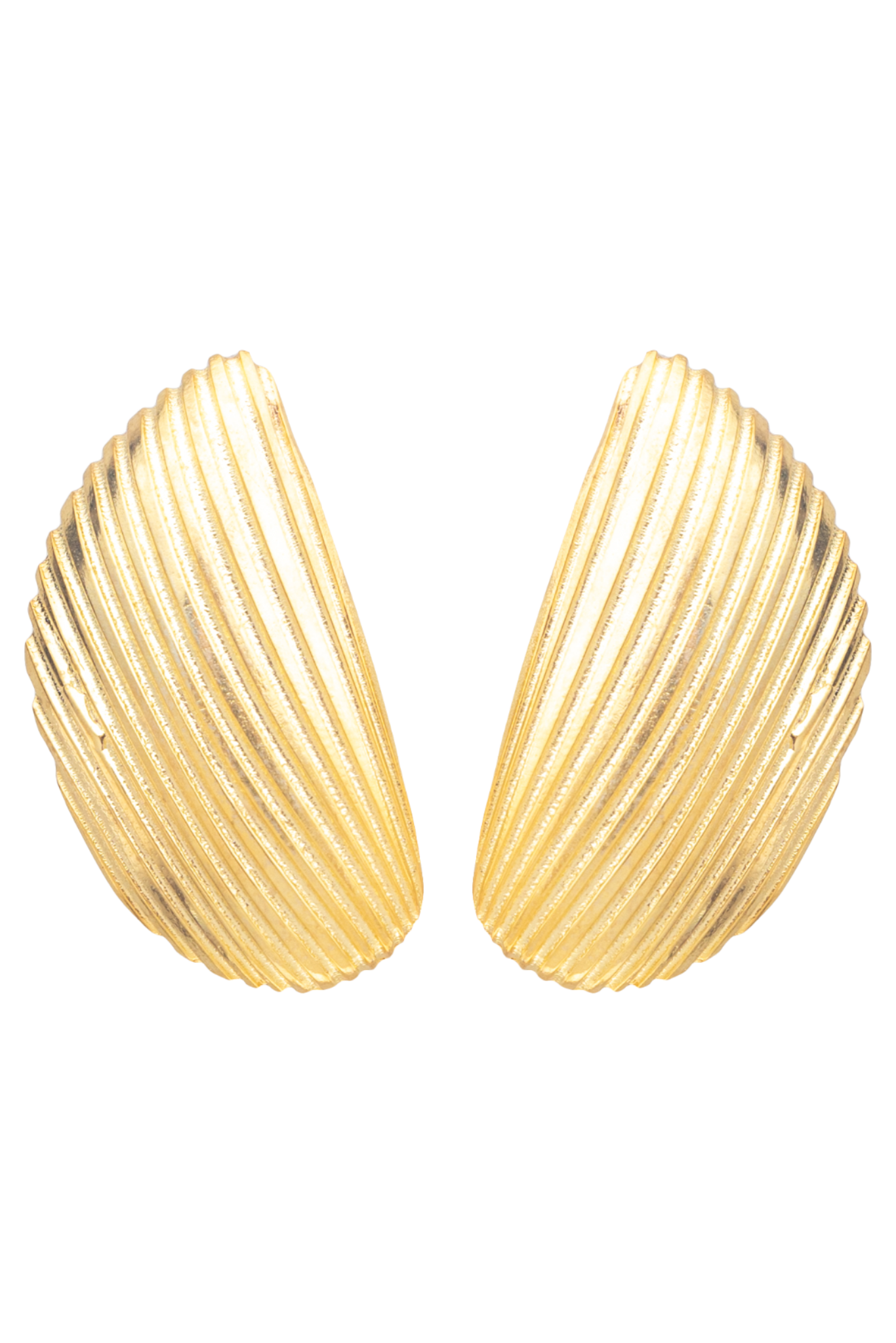 CONCH SHELL EARRINGS