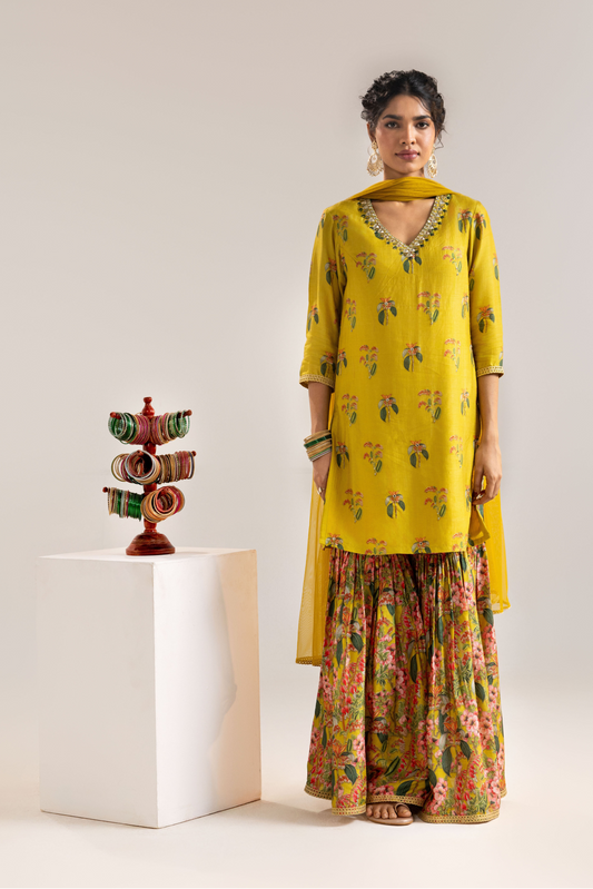 Aarani Embroidered Sharara Set with a Cape