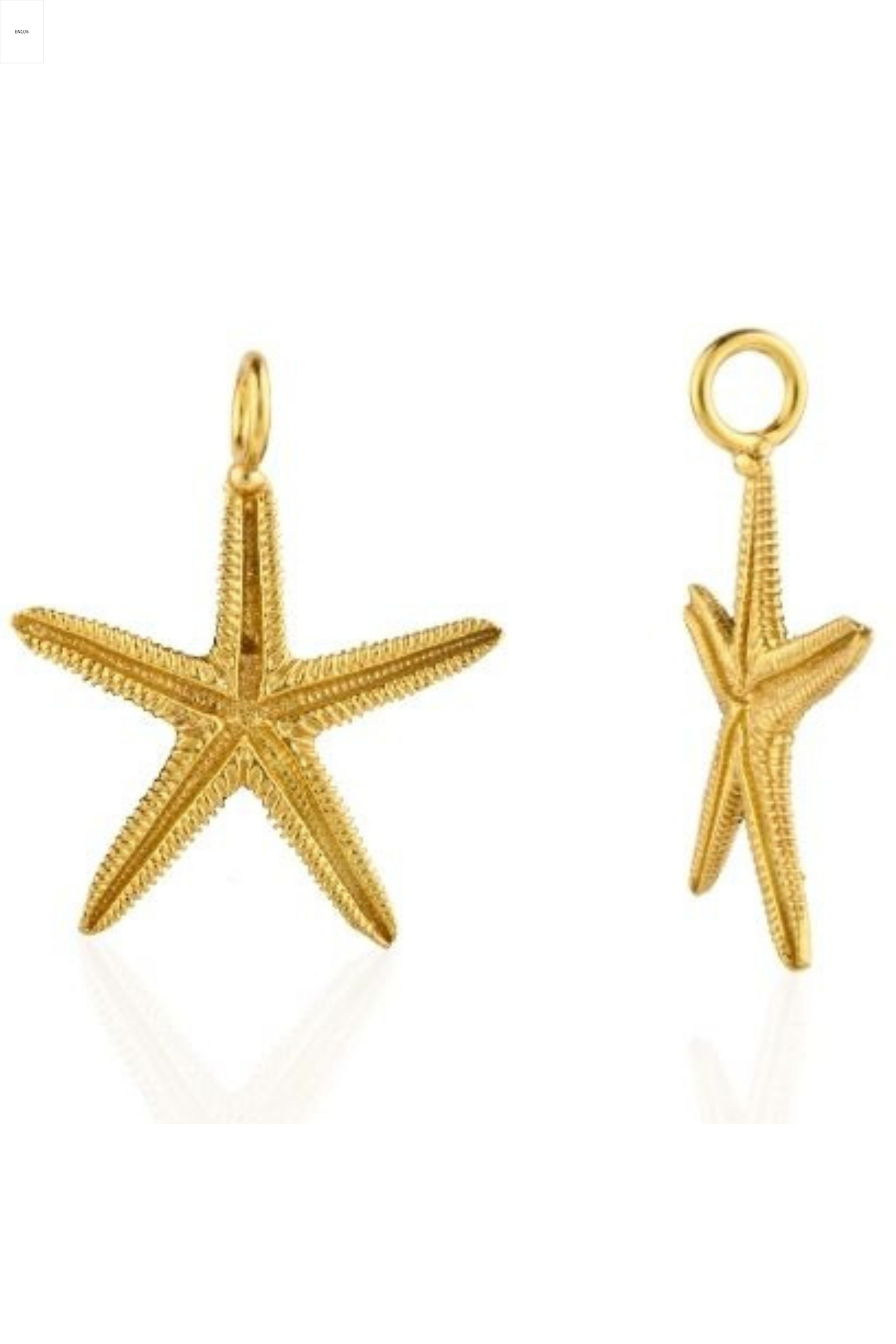 Starfish Pendant And Charm