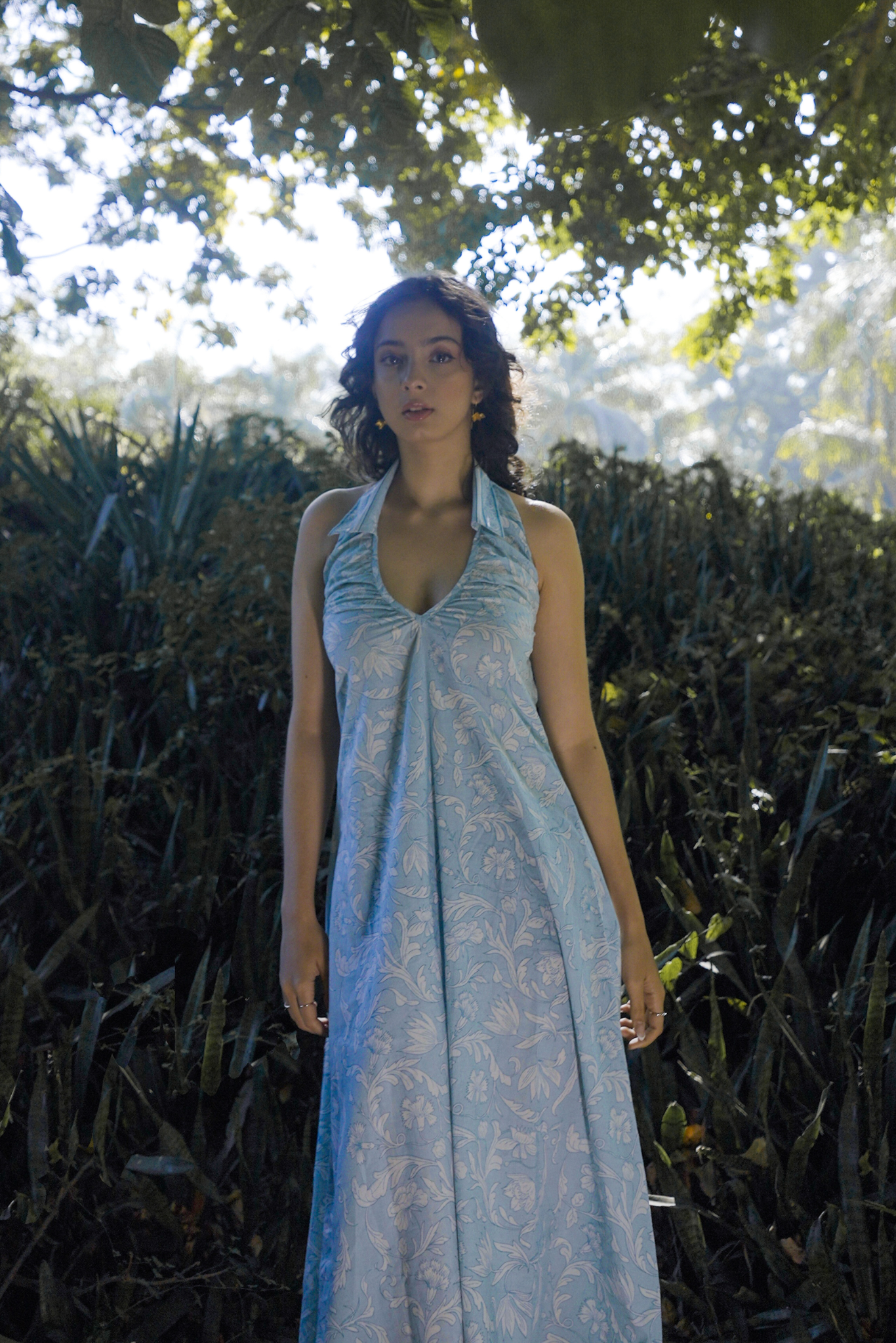 Noa Collared Dress