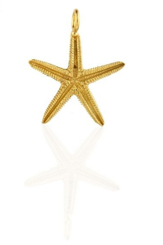 Starfish Pendant And Charm