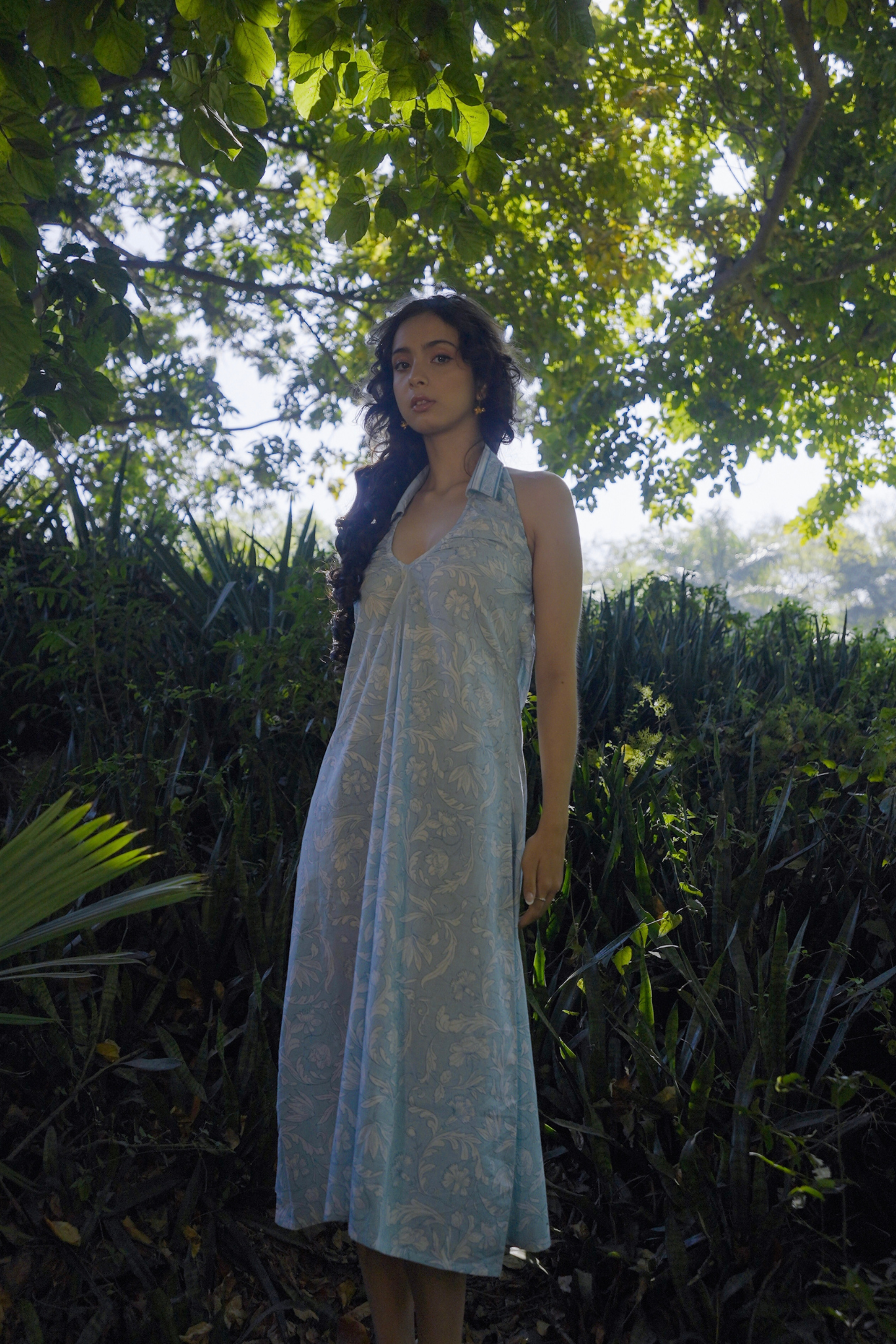 Noa Collared Dress