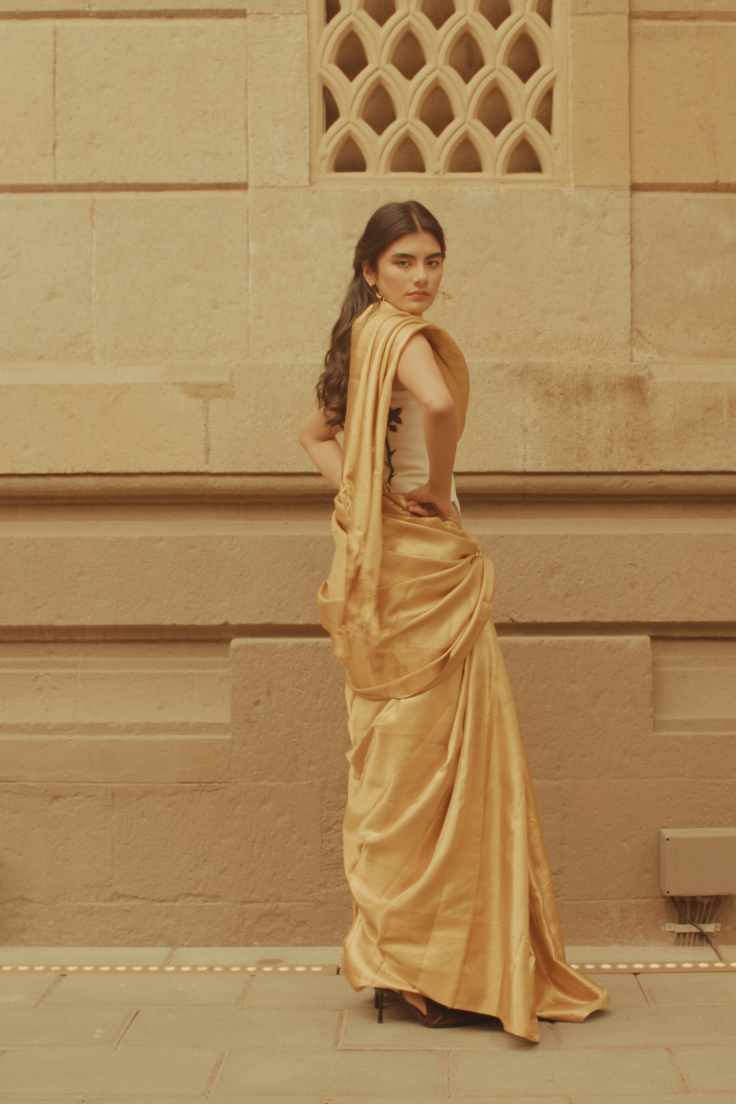 Silk Tissue Kanjeevaram saree