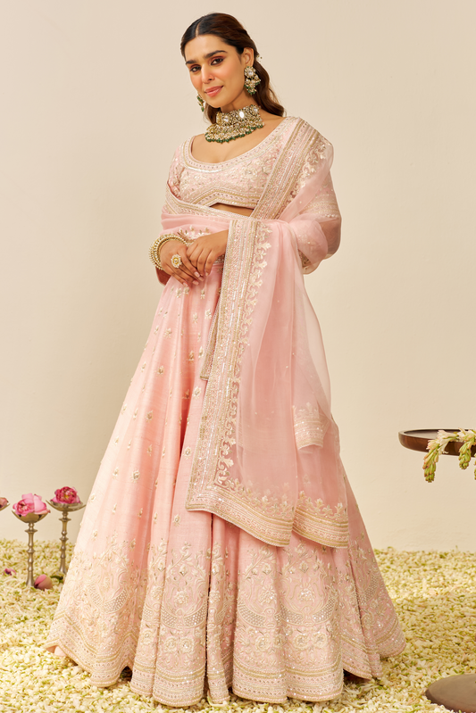 Fida- Blush Pink Lehenga With Blouse And Dupatta