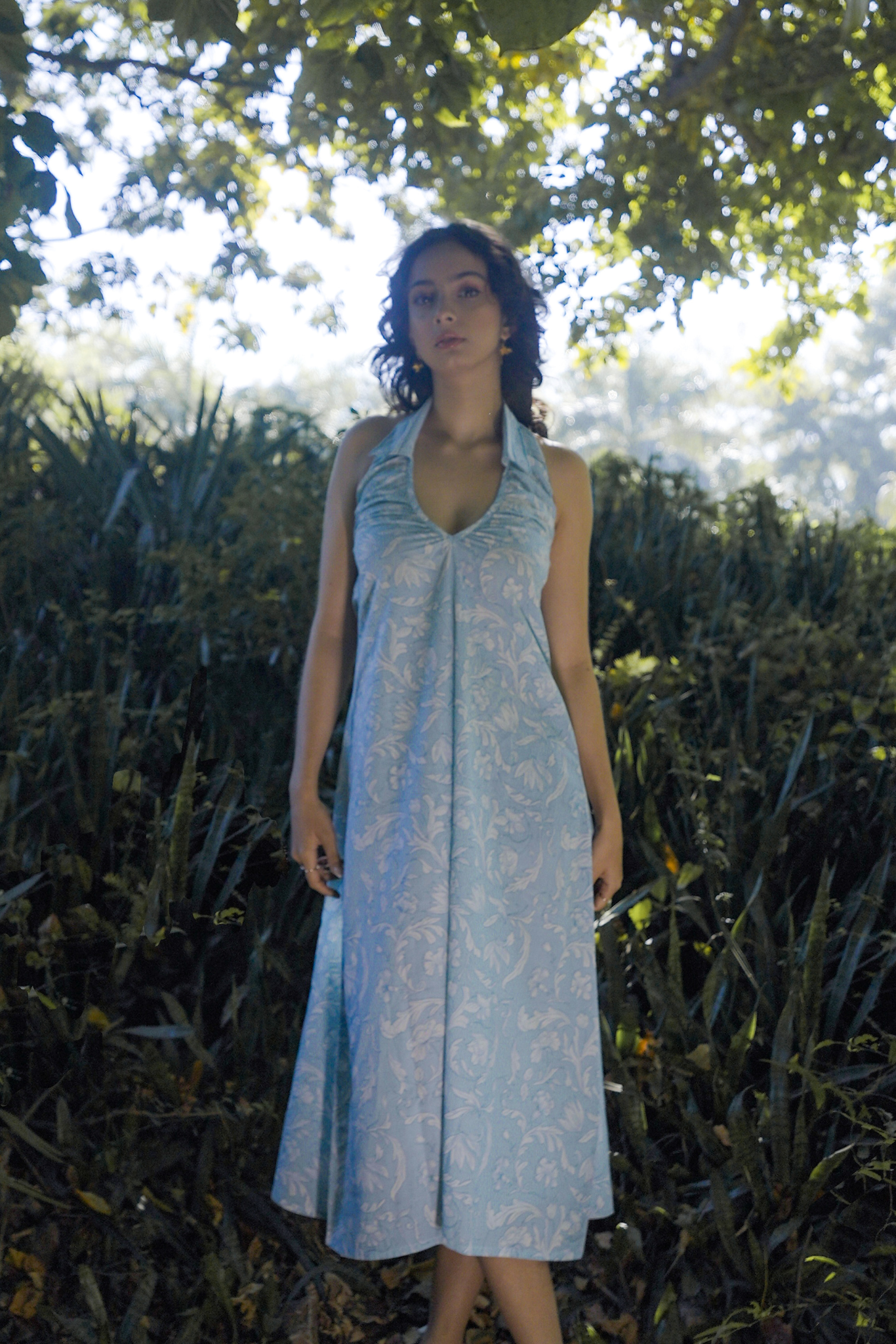 Noa Collared Dress