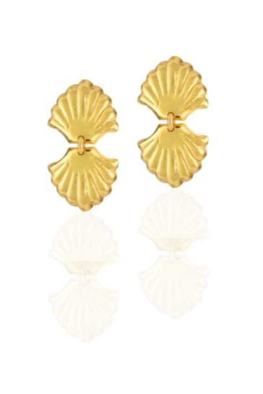 Beach shells