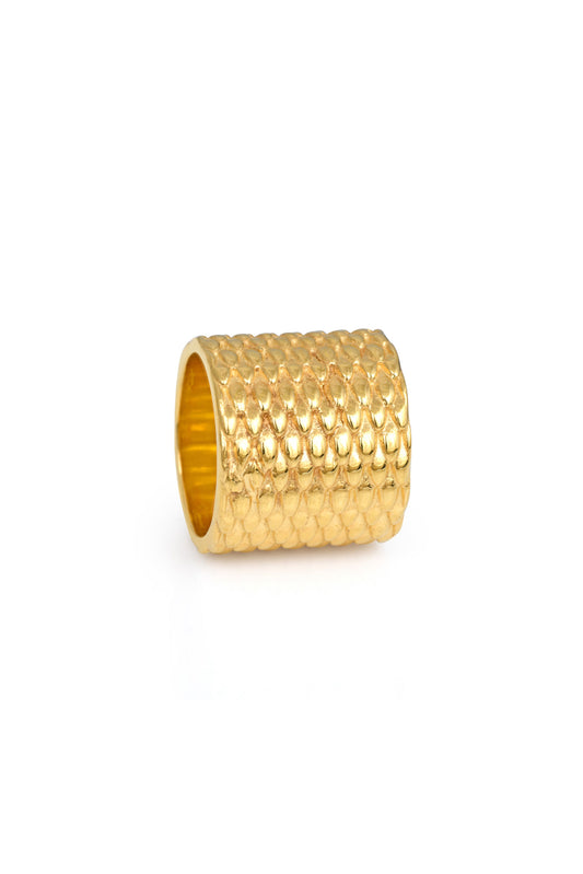 Arezu Ring