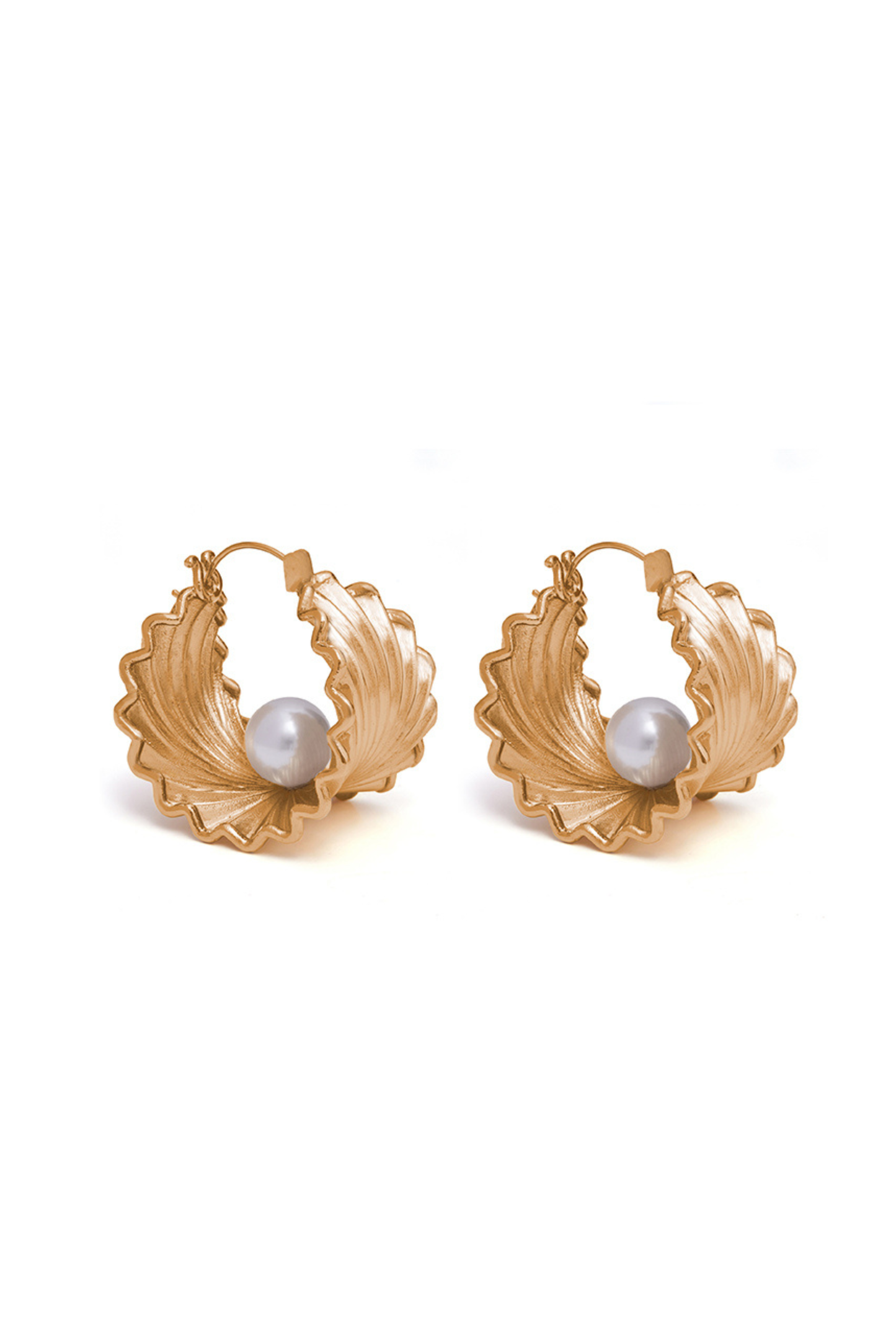 Golden Oyster Hoops