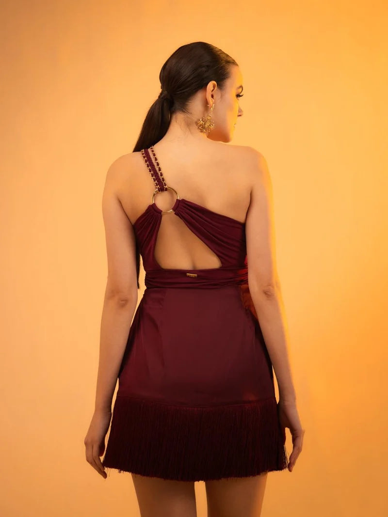 Loxos Swimsuit - Plum with Luna Skirt - Plum